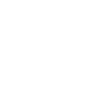 RS85